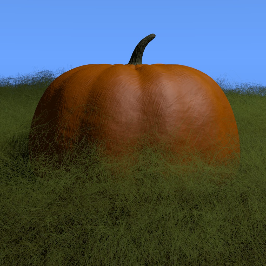 Pumpkin In Grass preview image 2